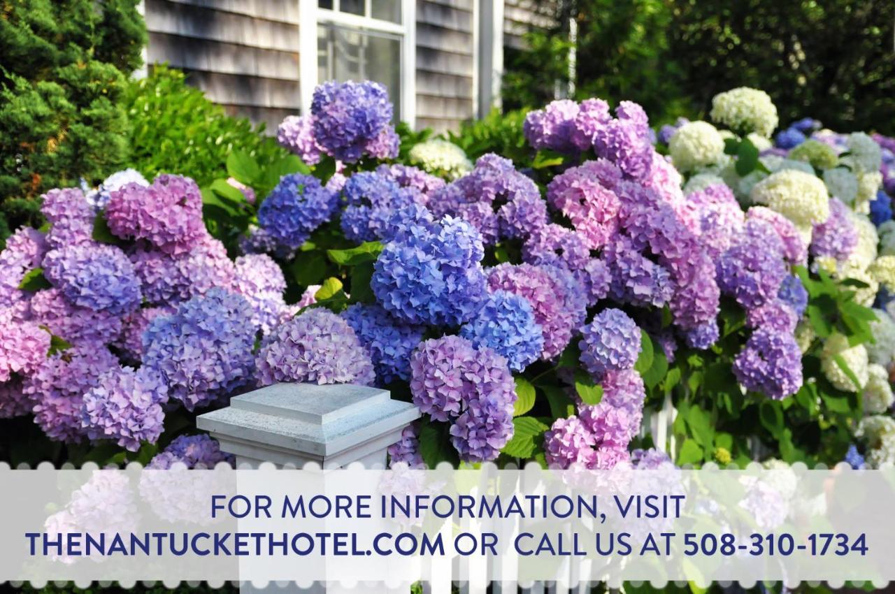 The Nantucket Hotel & Resort Εξωτερικό φωτογραφία